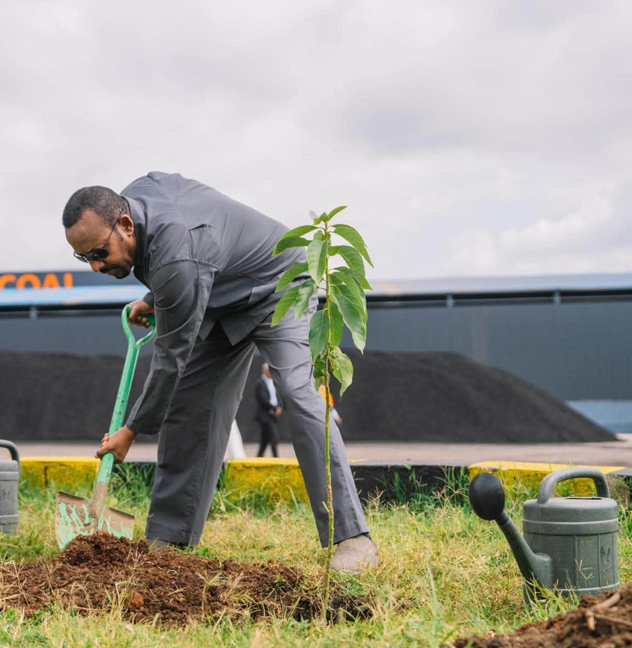 A planting day under the national reforestation programme.